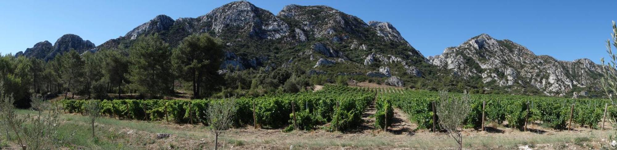 Les Lavandins-Gite Magali Saint-Rémy-de-Provence Esterno foto