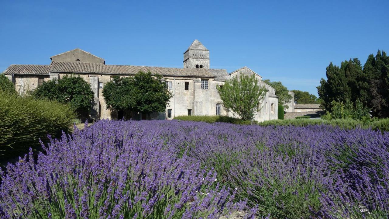 Les Lavandins-Gite Magali Saint-Rémy-de-Provence Esterno foto