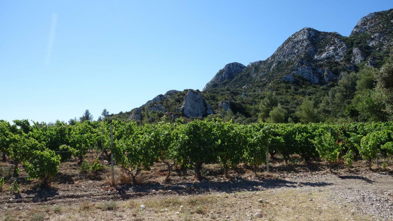 Les Lavandins-Gite Magali Saint-Rémy-de-Provence Esterno foto