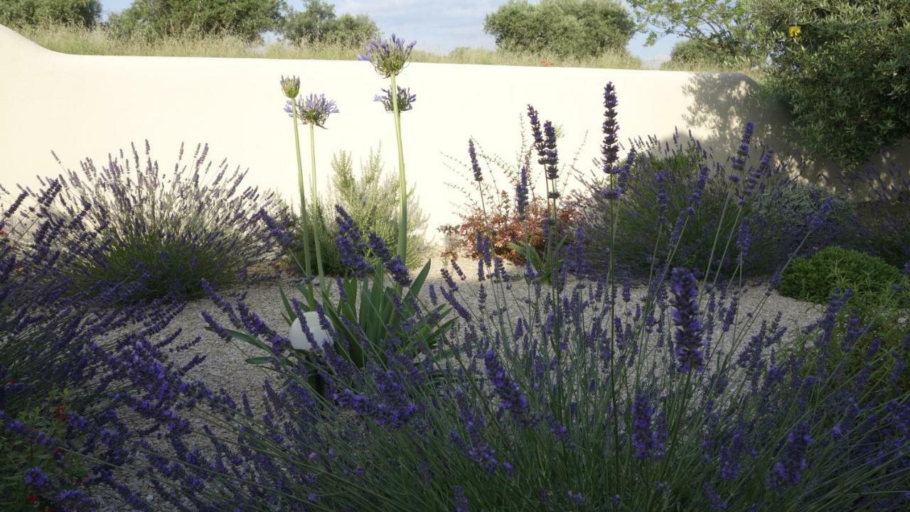 Les Lavandins-Gite Magali Saint-Rémy-de-Provence Esterno foto