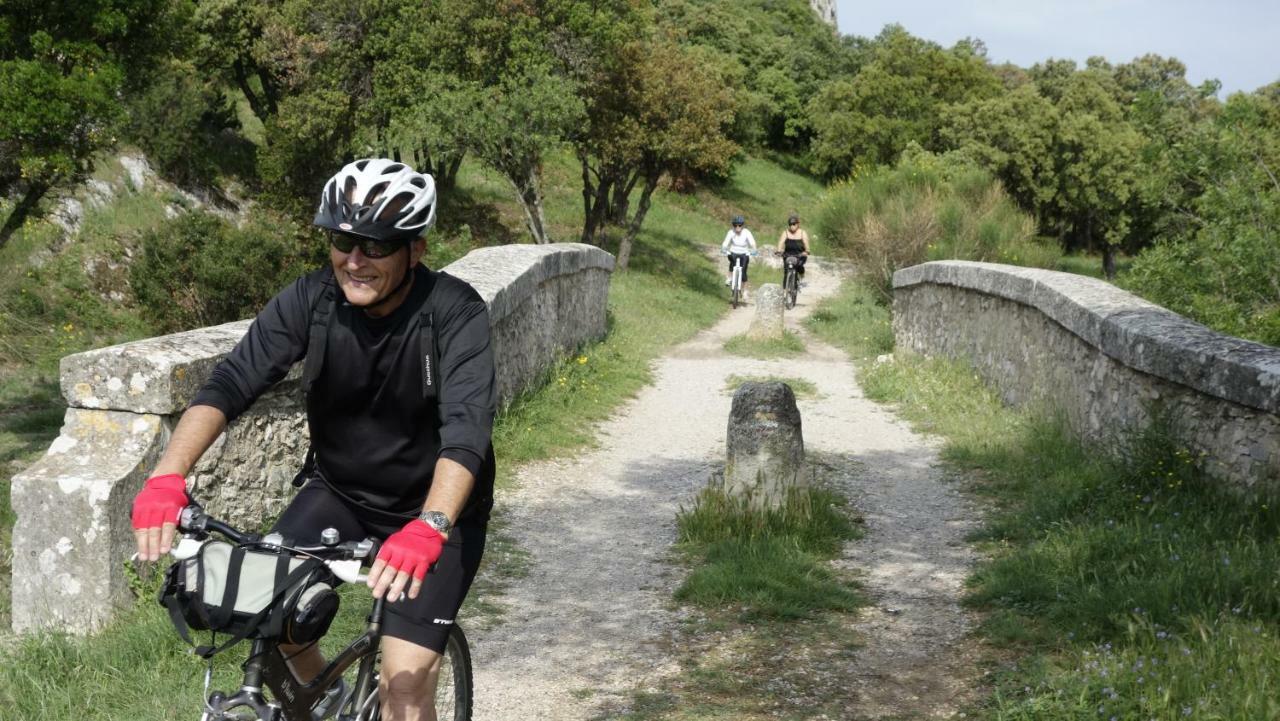Les Lavandins-Gite Magali Saint-Rémy-de-Provence Esterno foto