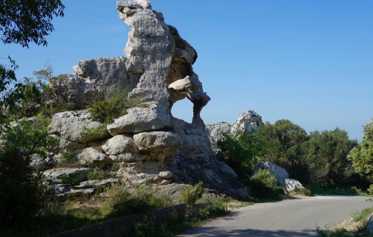 Les Lavandins-Gite Magali Saint-Rémy-de-Provence Esterno foto