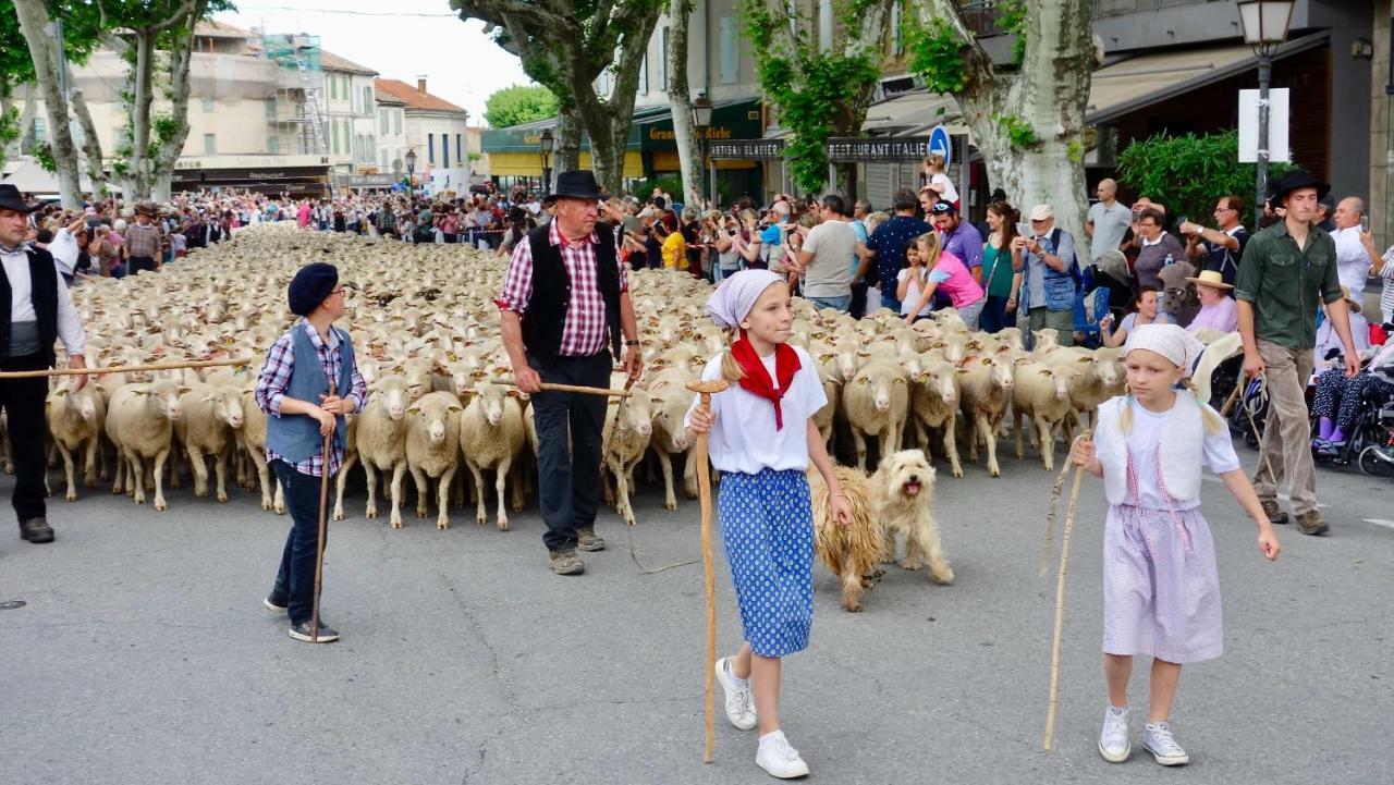 Les Lavandins-Gite Magali Saint-Rémy-de-Provence Esterno foto