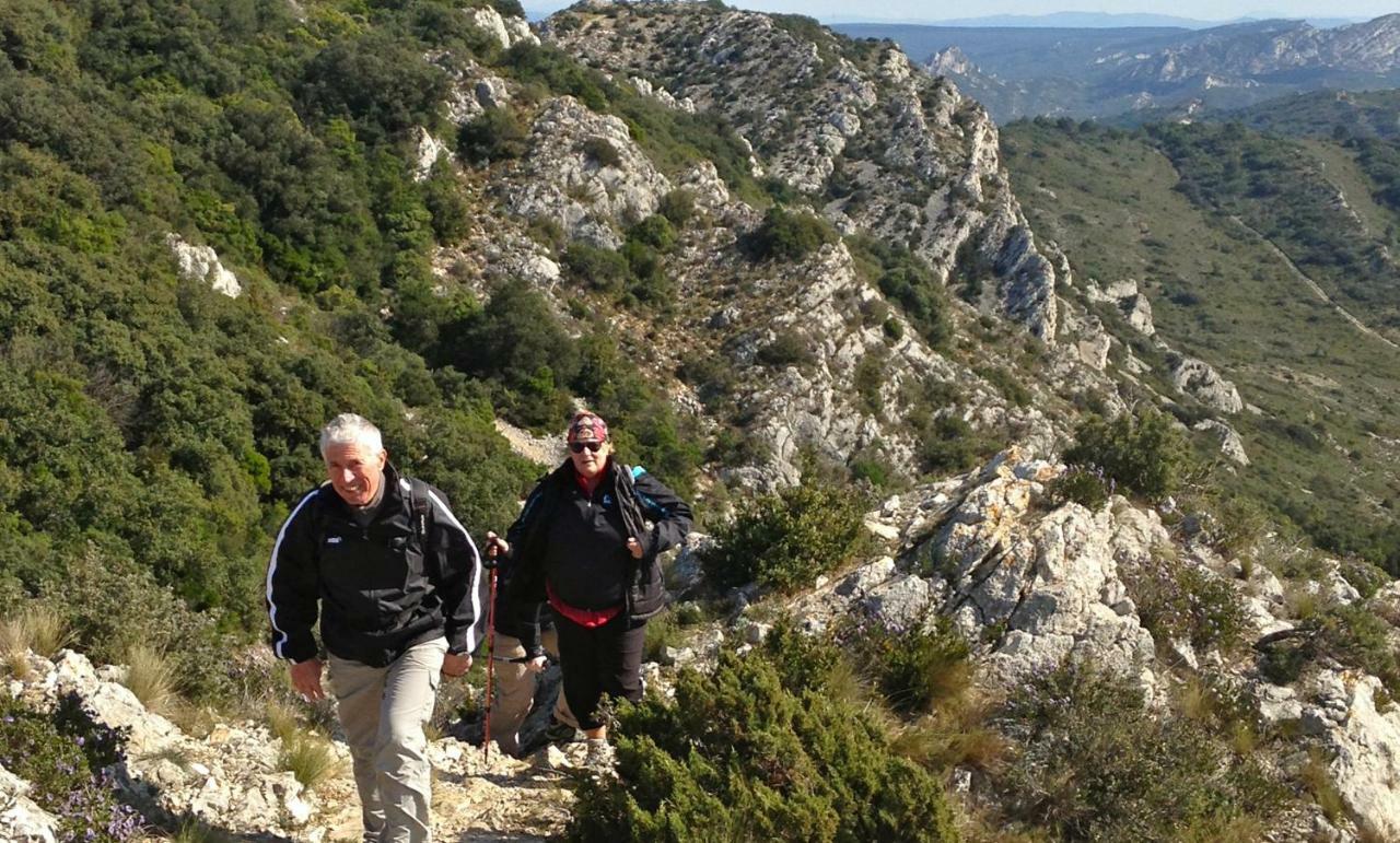 Les Lavandins-Gite Magali Saint-Rémy-de-Provence Esterno foto